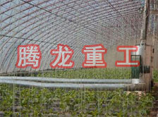 大棚花卉供暖設備、大棚卉采暖設備、大棚花卉取暖設備